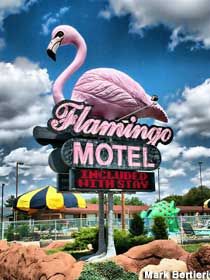 the flamingo motel sign is pink and black