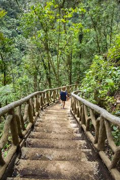 a person walking across a wooden bridge in the forest with lots of trees on both sides