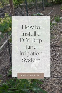 DIY Drip Line along chicken fence with text Irrigation Diy, Drip Irrigation Diy, Water From Air, Rainwater Harvesting System, Hydroponic Farming, Hydroponics Diy, Irrigation Systems, Gardening Projects, Drip System