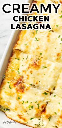 this creamy chicken lasagna is loaded with cheese and herbs for an easy dinner