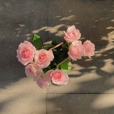 some pink roses are in a vase on the ground