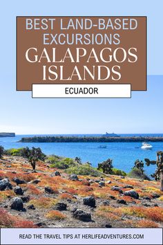 galapagos island land based excursions Galapagos Island, Beautiful Travel Destinations, Close Encounters, Top Travel Destinations