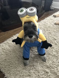 a small dog wearing a minion costume