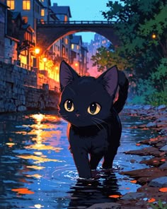 a black cat is walking in the water near a bridge and some buildings at night