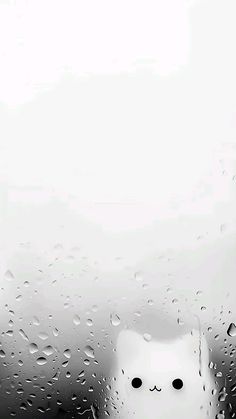 a white cat sitting on top of a window covered in raindrops next to a building