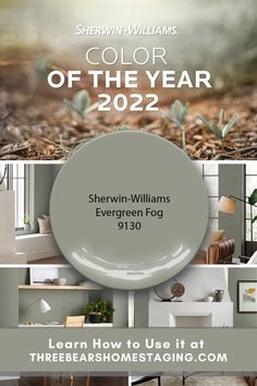 the color of the year for sherylin williams's evergreen fog