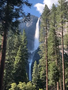 a tall waterfall towering over a forest filled with lots of trees and surrounded by tall pine trees