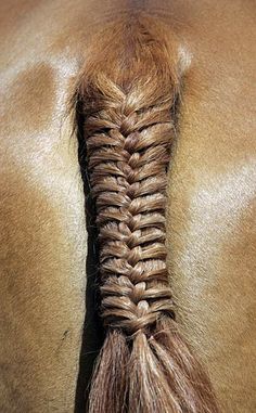 the back end of a horse's head with braids on it, showing how to