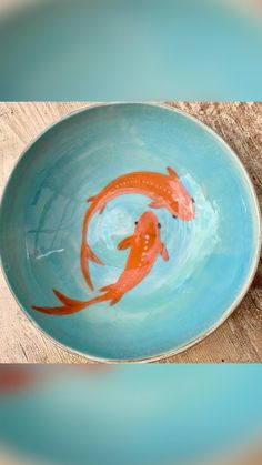 two orange fish swimming in a blue bowl