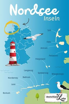 an illustrated map of the north coast with lighthouses, seagulls and birds