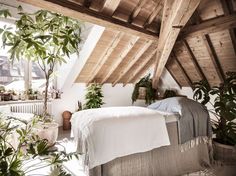 a bed sitting under a wooden roof in a room filled with plants and potted plants