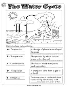 the water cycle worksheet for kids to learn how to read and understand it