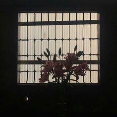 a vase filled with flowers sitting in front of a window