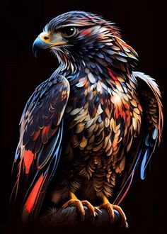 a colorful bird sitting on top of a wooden table next to a black background with red, yellow and blue feathers