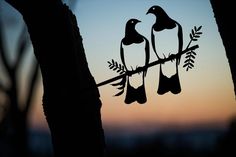 two birds sitting on top of a tree branch in front of the sun setting behind them