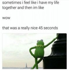 the frog is standing next to a lamp post with caption that reads, sometimes i feel like i have my life together and then im like wow that was really nice 45 seconds