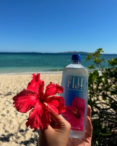 a person holding up a water bottle with a red flower in front of the ocean