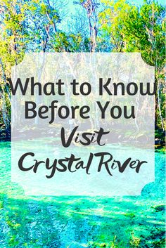 a river with the words what to know before you visit crystal river