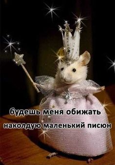 a mouse dressed up as a fairy with a wand and tiara on it's head