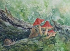 two red mushrooms sitting on top of a tree branch next to a snail's shell