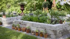 a garden filled with lots of potted plants