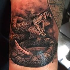 a man's arm with a black and grey tattoo on it, featuring a snake