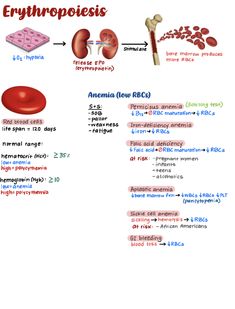 the diagram shows how to use erythropiesis as an alternative for nematia