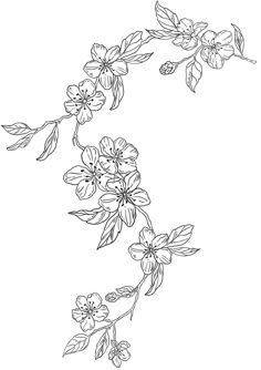 an ink drawing of some flowers on a branch with leaves and buds in the middle