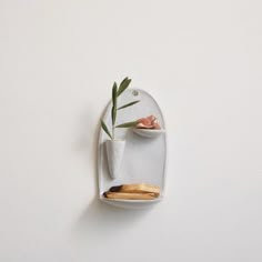 a white wall mounted shelf with some food and a plant in it on the wall