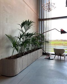 a living room filled with lots of plants next to a wall mounted lamp and window