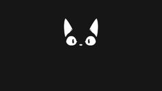 a black and white cat with big eyes on it's face in the dark