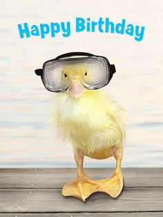 a duck with goggles and a happy birthday card