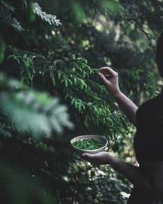 a woman holding a bowl in her hand while standing next to a forest filled with trees