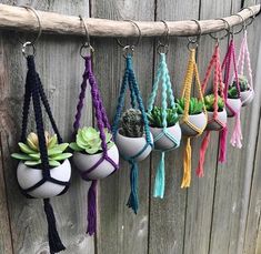 an assortment of potted plants are hanging from a wooden rack on a fence with tassels