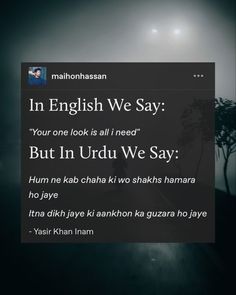 an english quote with the caption'in english we say '