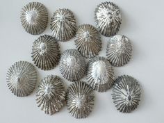 six silver seashells are arranged on a white surface, with one in the center surrounded by smaller ones