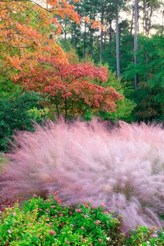 the grass is blowing in the wind and it's colorful colors are all around