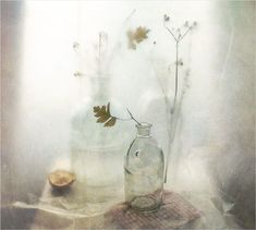 a glass jar with leaves in it sitting on a table