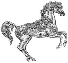 a black and white drawing of a horse with skeleton bones on it's back