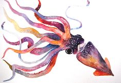 an octopus is painted with watercolors and then it appears to be floating in the air