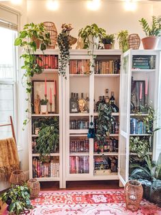 a room filled with lots of green plants and bookshelves on top of shelves