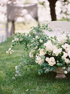 a vase filled with white flowers sitting on top of a lush green grass covered field