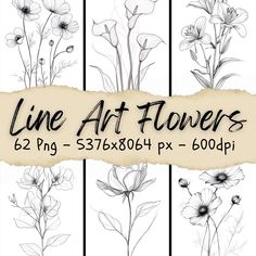 the line art flowers are drawn in black and white, with some added color to it