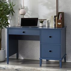 a blue desk with a laptop on it and a potted plant in the corner