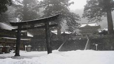 a snow covered area with steps leading up to a building and trees in the background