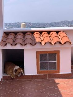 Casa de ladrillo para perro con ventana y tejas para exterior Duck House, Pet Enclosure, Animal Images, Dog Area