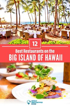 the best restaurants on the big island of hawaii, including an ocean front restaurant with palm trees