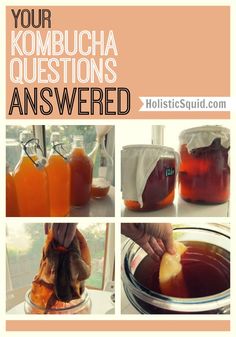 the instructions for how to make kombucha questions answered