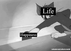 an animated cat with the caption life happiness