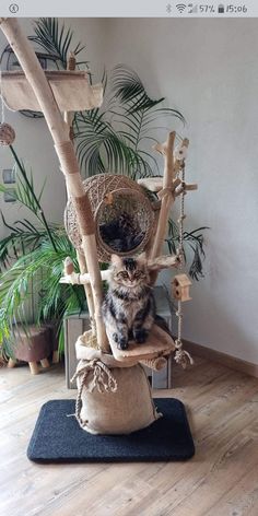 a cat sitting on top of a scratching tree